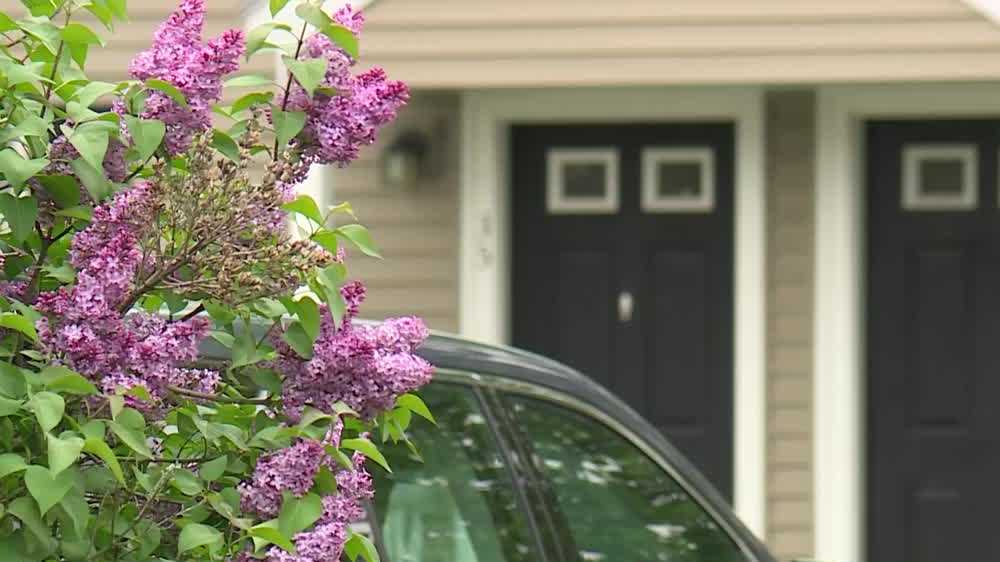 New Maine law promotes full disclosure for rent prices [Video]