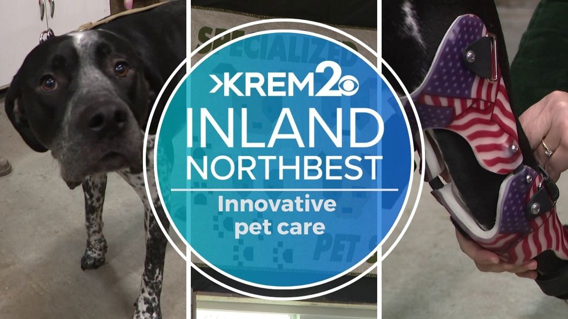 Pet orthotics business transforms lives of animals & owners in Inland Northwest [Video]