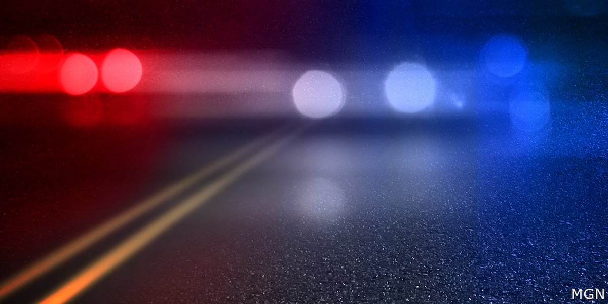 Norfolk, NE man dies after fatal accident in rural Pierce County [Video]