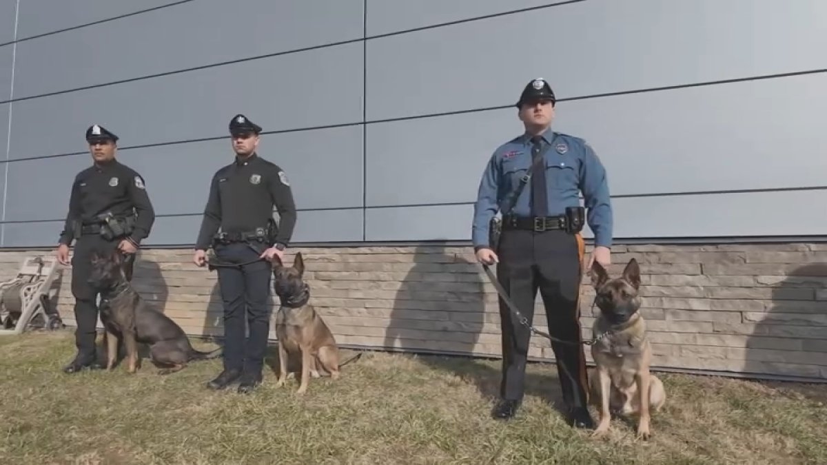 New 4-legged officers join the ranks of Philly-area police  NBC10 Philadelphia [Video]