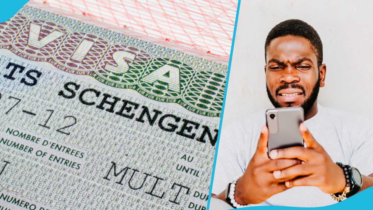 Germany Launches New Visa Application Digital Platform To Ease Immigration [Video]