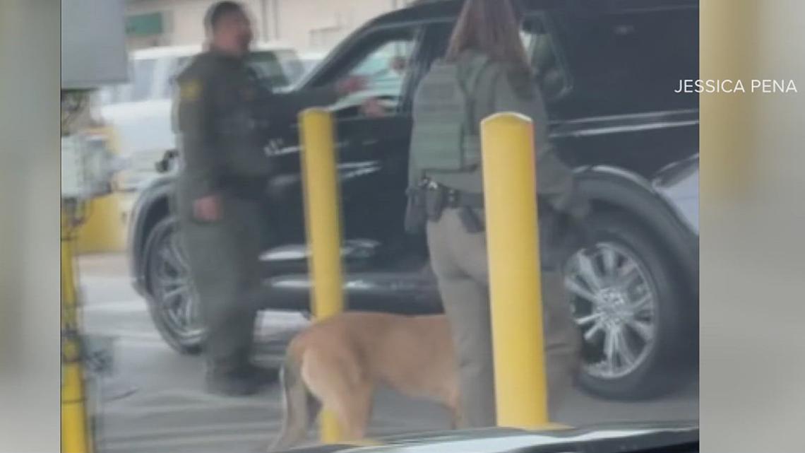 Viral video alleges K-9 abuse at Border Patrol checkpoint