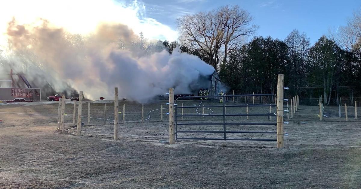 UPDATE:Barn destroyed Saturday afternoon in Eyota, leaves several animals unhoused | Local [Video]