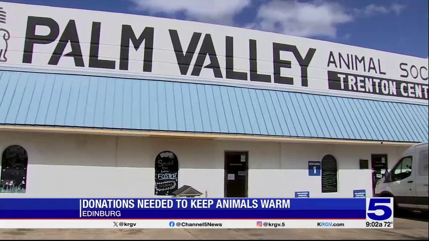 As cold front approaches, Palm Valley Animal Society asking for donations [Video]