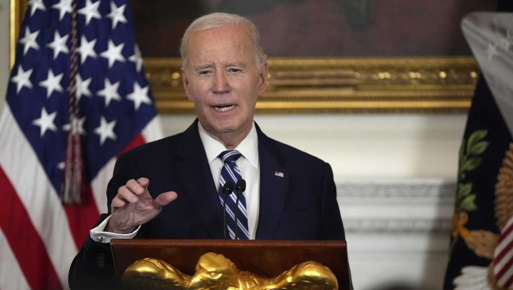 Biden urges new Democrats to embrace unity [Video]