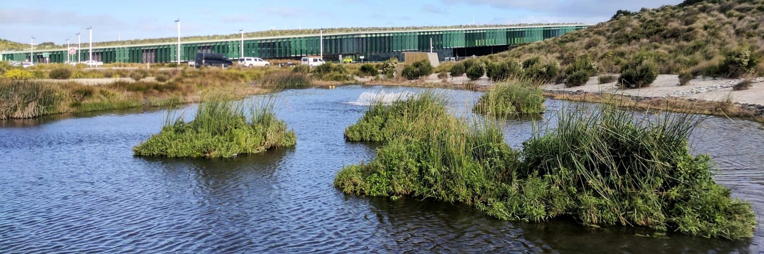 Water is Life  Floating Wetlands [Video]