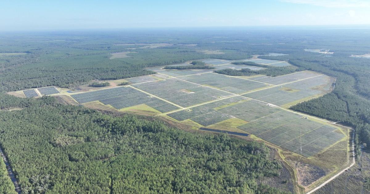 FMPA and Origis Energy Announce Completion of Rice Creek Solar Energy Center | PR Newswire [Video]