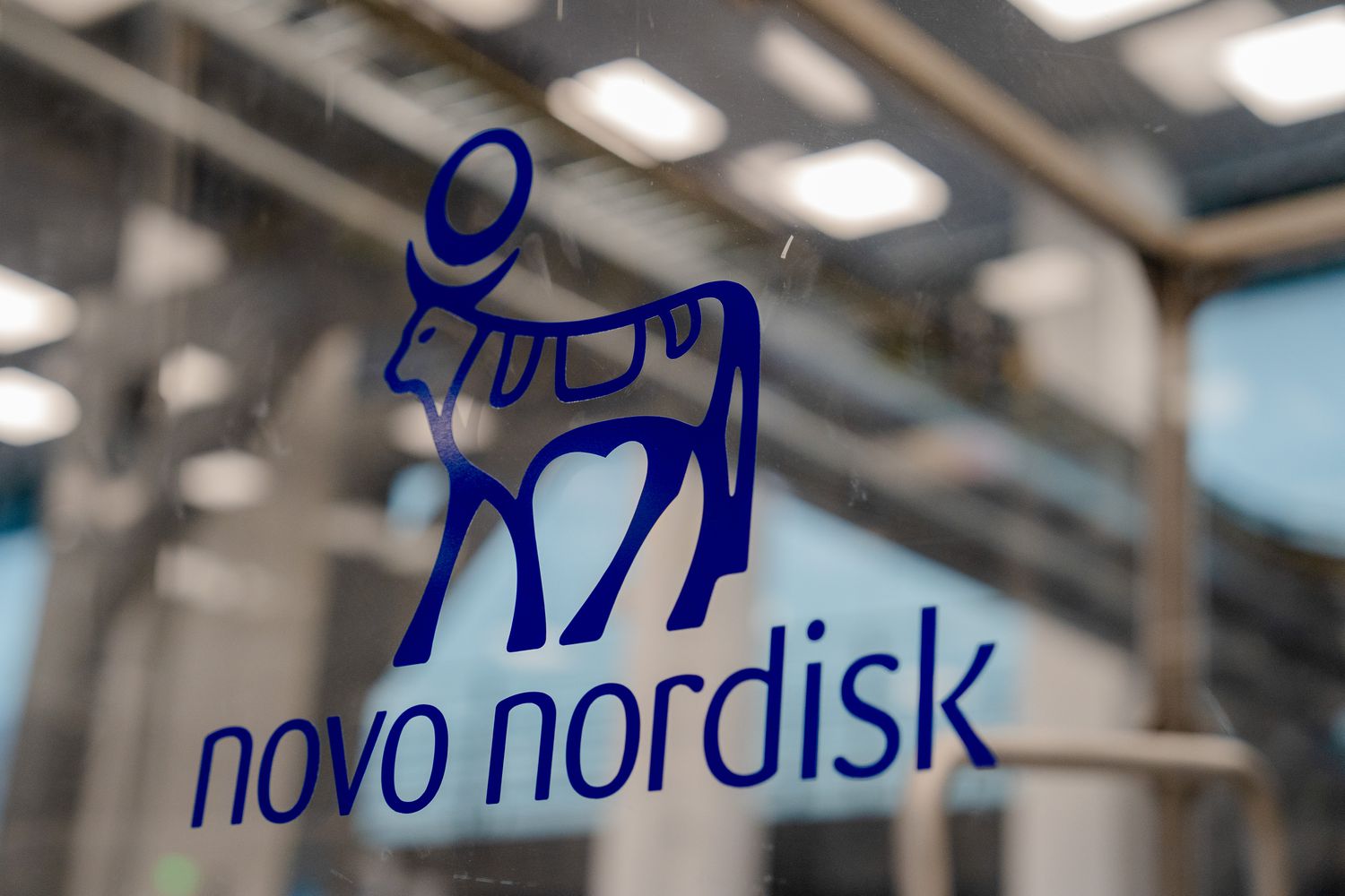 Novo Nordisk Stock Rises as UBS Upgrades Ozempic Maker, Calls Sell-Off 