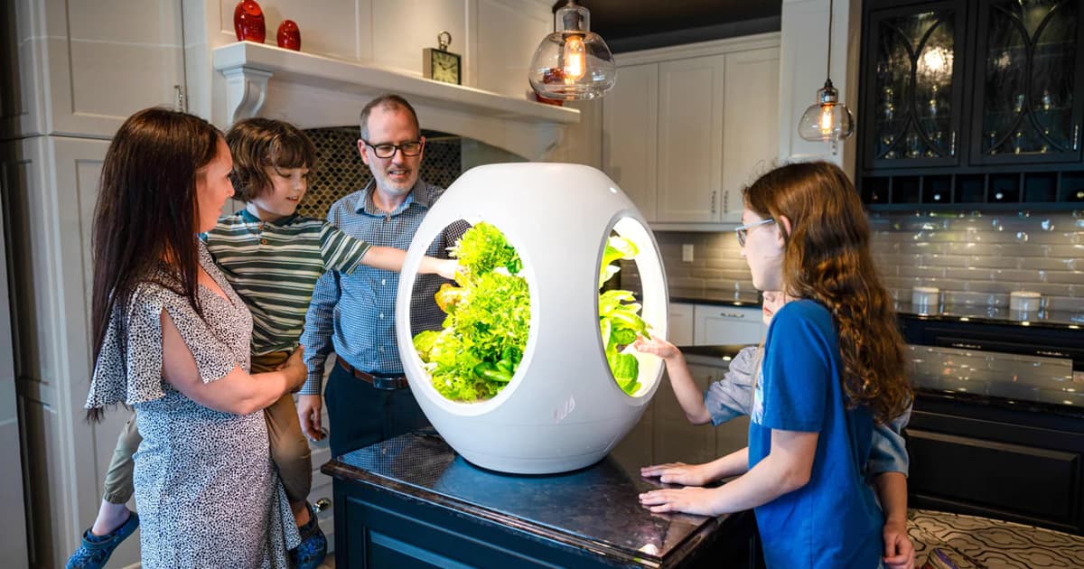 Automated mini garden uses a nutritious fog to grow veggies indoors [Video]