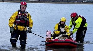 Firefighters rescue 24 sheep from flooded field [Video]