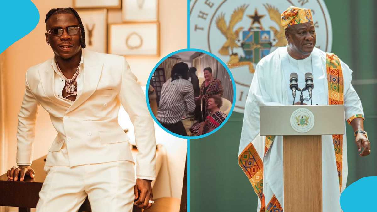 Stonebwoy Spotted With US Ambassador And Her Presidential Delegation: "Torcher Dem With The Moves" [Video]