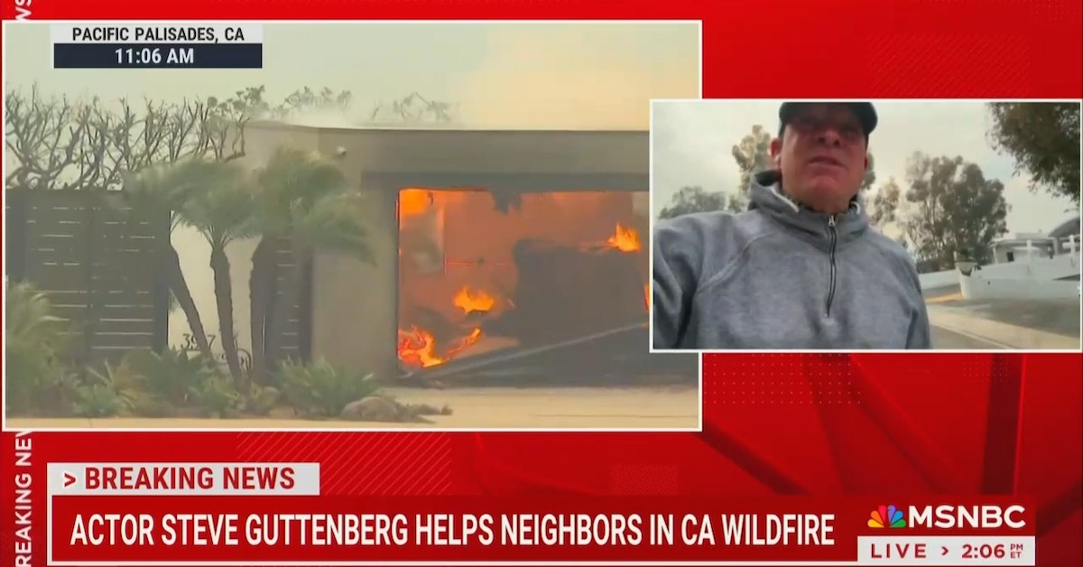 Steve Guttenberg’s MSNBC Feed Cuts Out During Palisades Fire [Video]