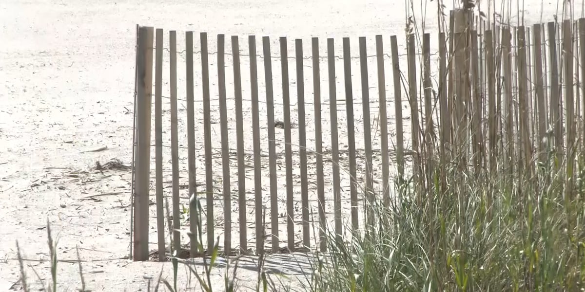 South Carolina agency launches new online tool for coastal education [Video]