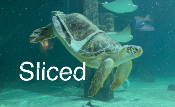 SLICED: Latest news from the 3D Printing Industry [Video]