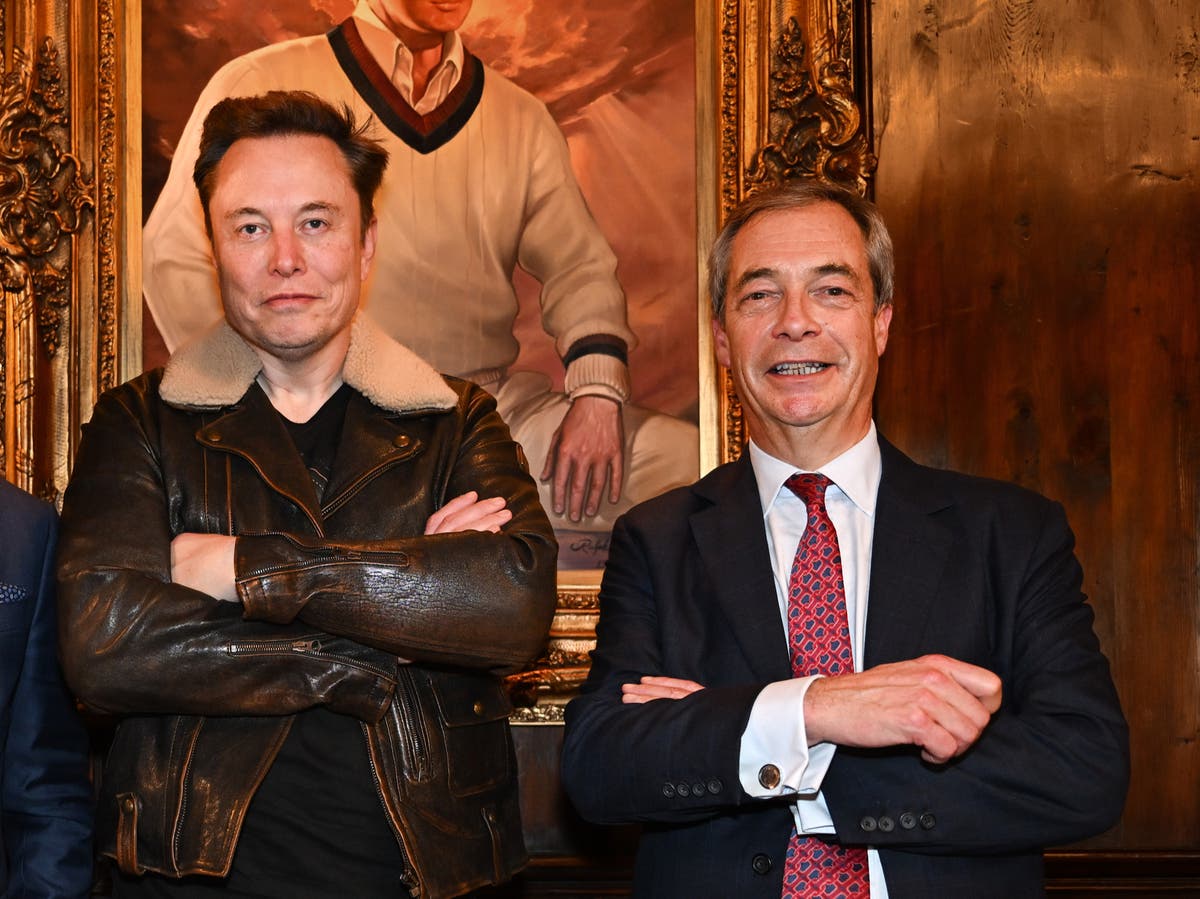 Reform MPs including Nigel Farage and Lee Anderson paid thousands by Elon Musk for posting on site [Video]