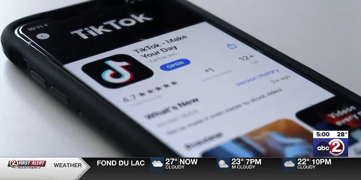 Local users, cybersecurity experts react to impending TikTok ban [Video]