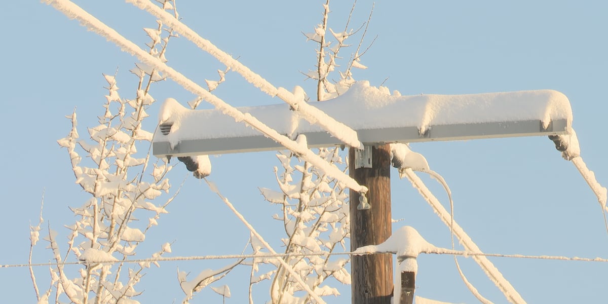 How to prepare for a power outage ahead of strong storm [Video]