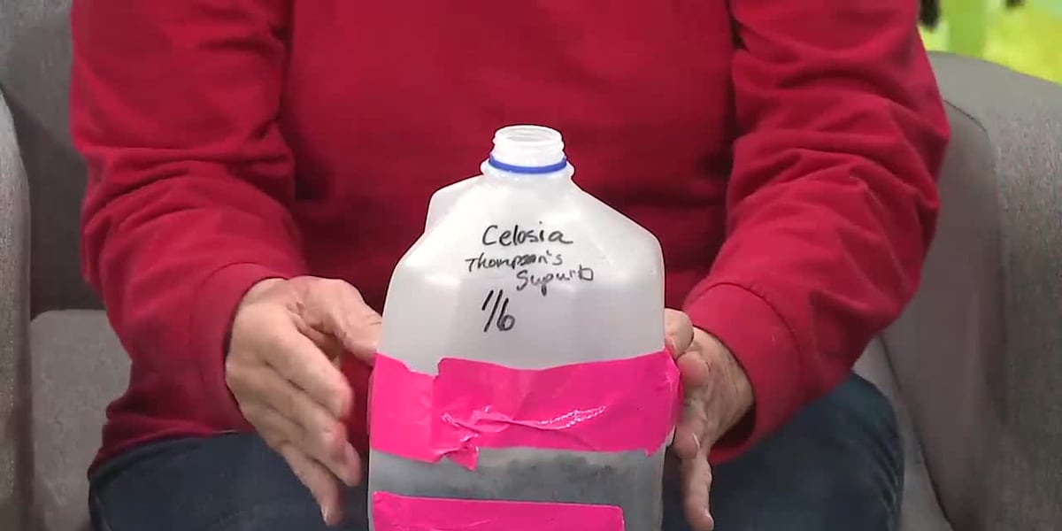 How to make a milk jug greenhouse [Video]