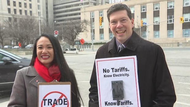 Pair of GTA councillors to launch anti-tariff ads during Trump