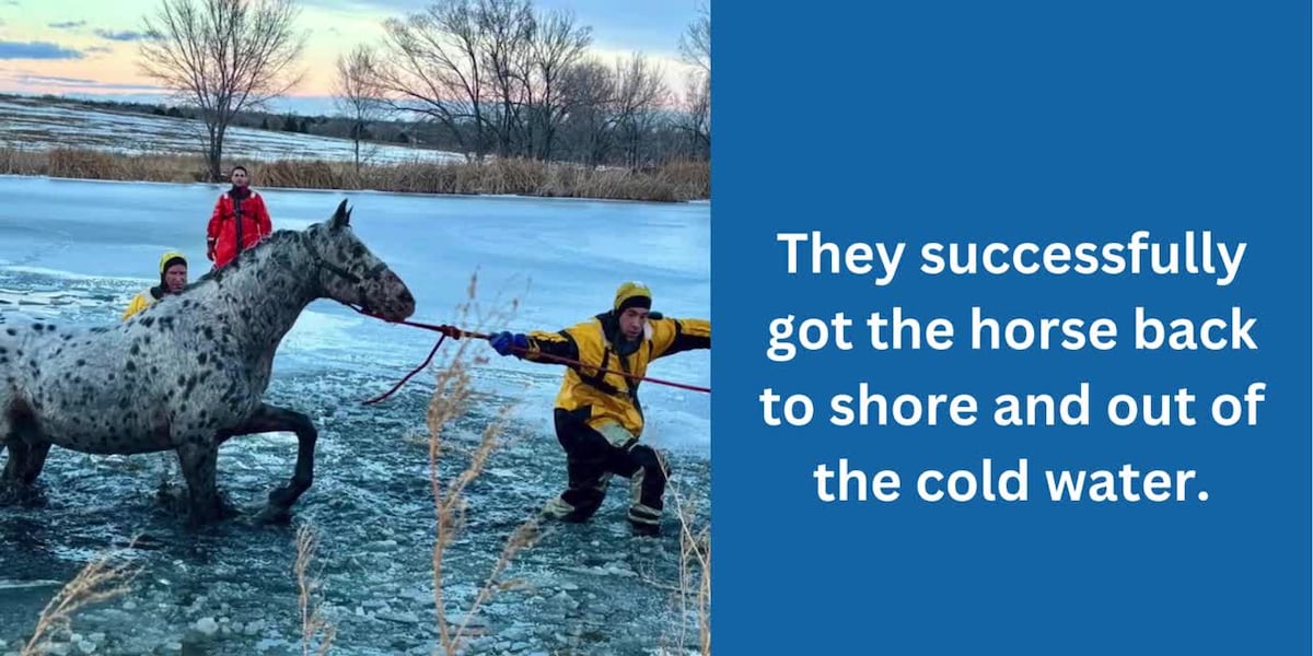 Firefighters rescue horse from icy pond [Video]