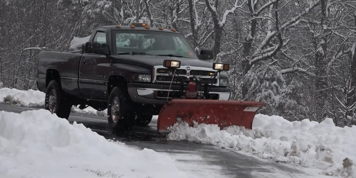 Lawn care businesses work to clear parking lots in the Ozarks [Video]