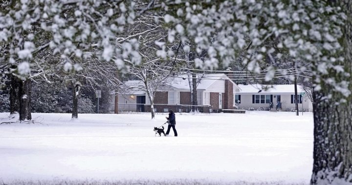 Airport delays, travel warnings as southern U.S. storm maintains icy grip - National [Video]