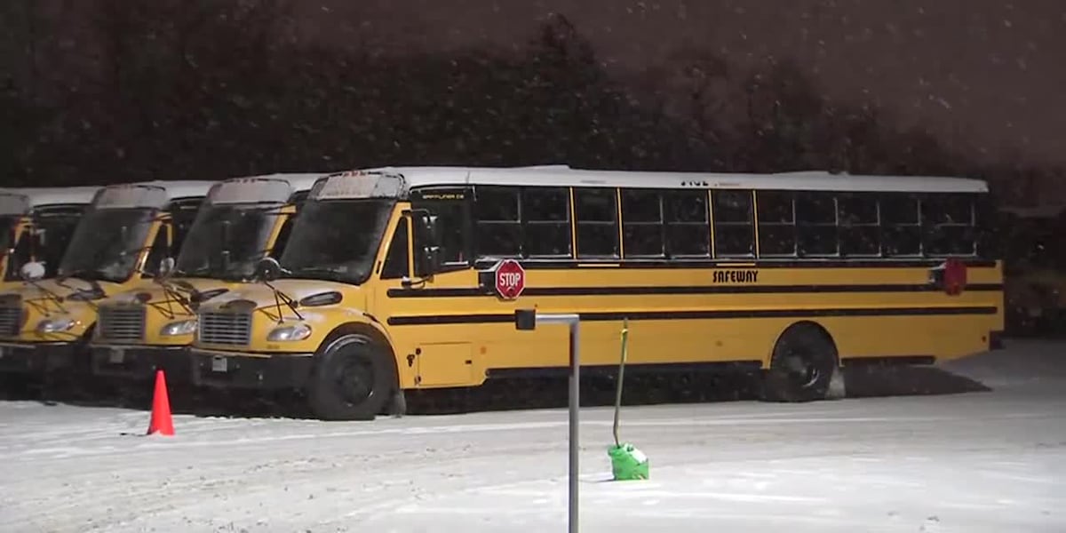 3-year-old left in cold school bus for hours, mother says [Video]