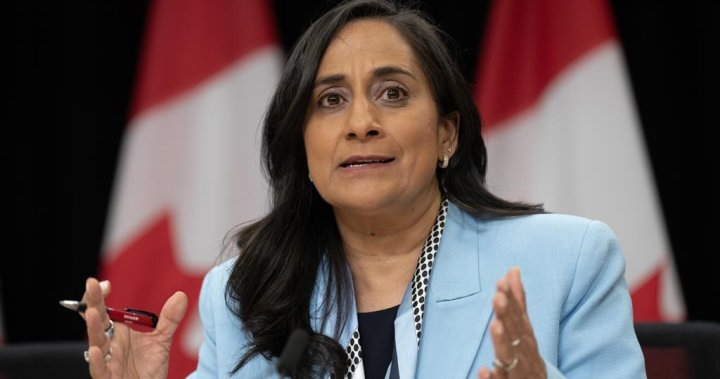 Transport Minister Anita Anand wont make bid for Liberal leadership or re-election - National [Video]