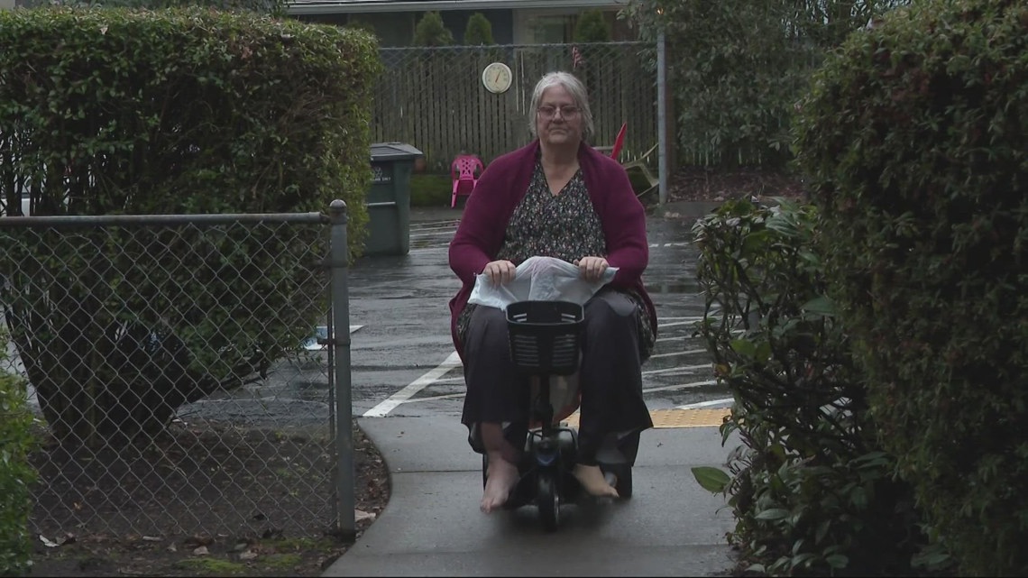 Amputee asks for community support after mobility scooter was stolen [Video]