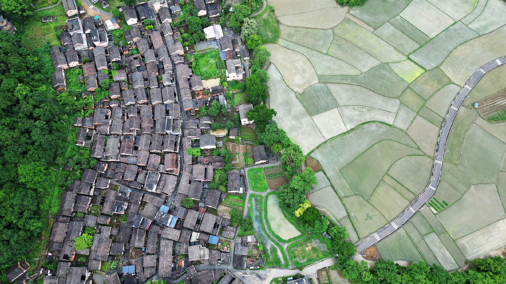 Live: View a typical traditional ancient village in S China’s Guangxi [Video]