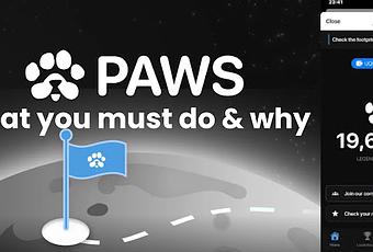 Paw’s Airdrop Eligibility Check Update – What You Must Do & Why [Video]