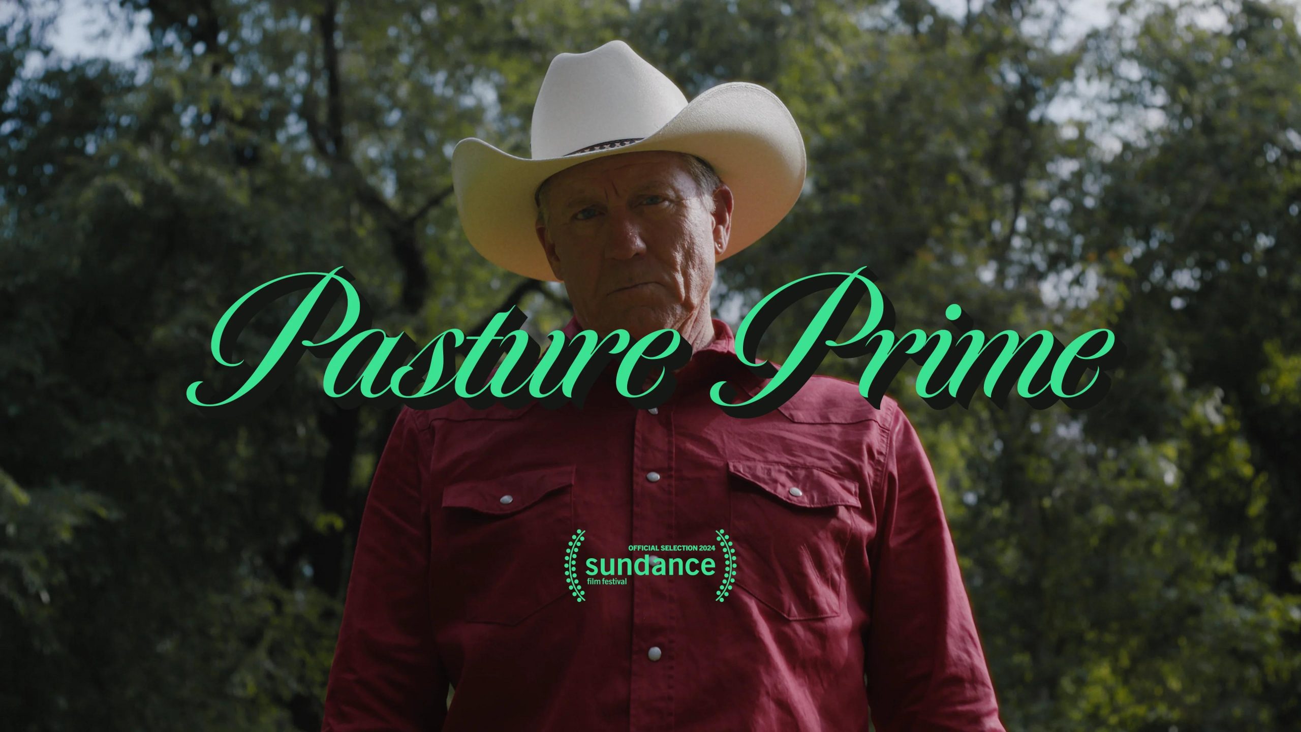 Pasture Prime on Vimeo [Video]