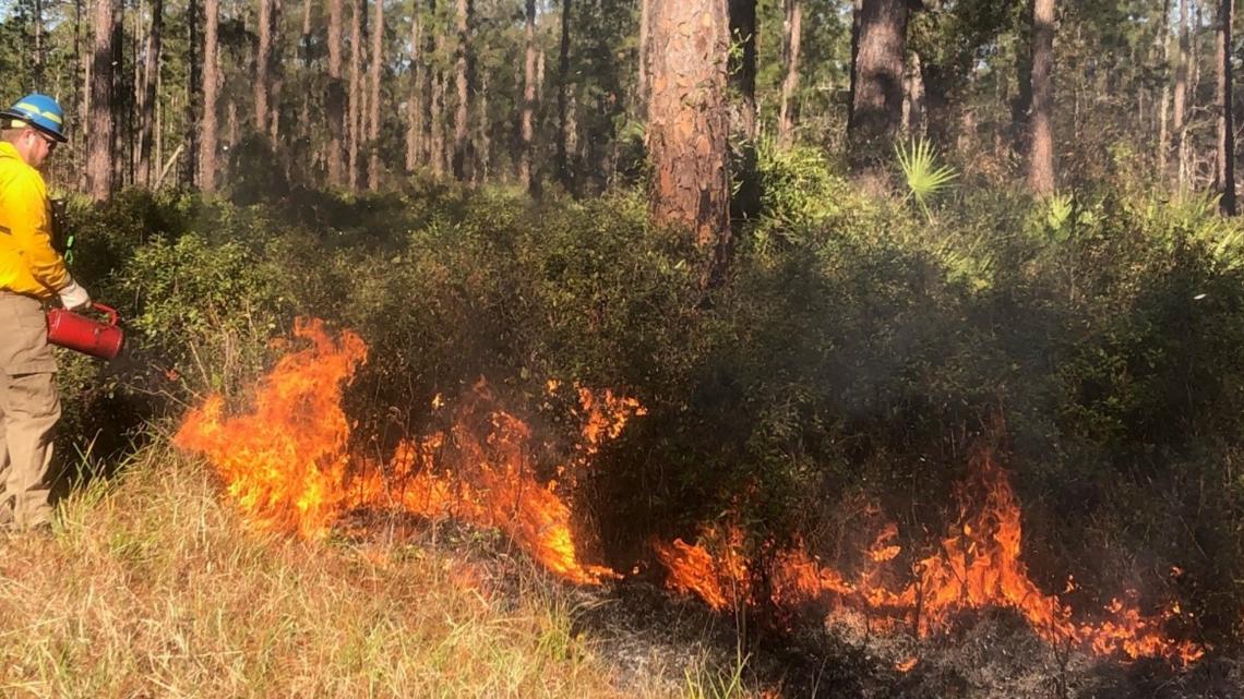 Why is there wildfire smoke in Clay County today? [Video]