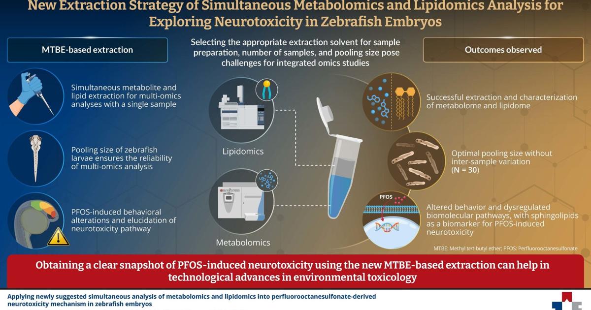 SeoulTech Researchers Propose a Novel Method to Shed Light on PFOS-Induced Neurotoxicity | PR Newswire [Video]