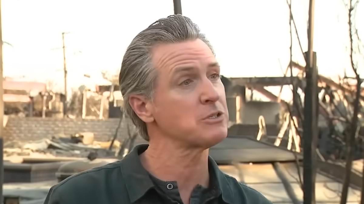 Slick-haired Gavin Newsom gets ripped for awkward swagger move during interview amid LA fire devastation [Video]