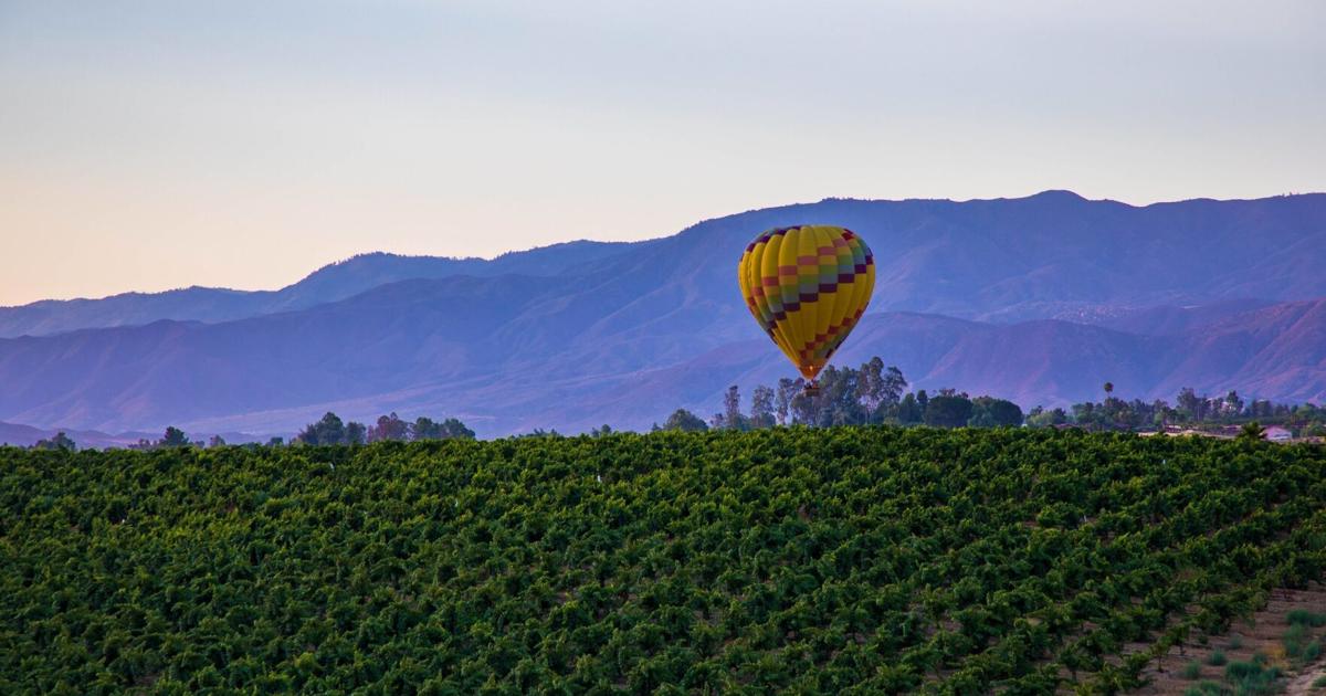 Visit Temecula Valley Announces 2025 Board of Directors, Welcomes New Members | PR Newswire [Video]