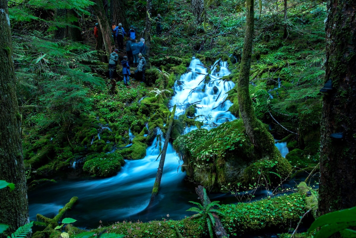 Scientists Discover Enormous Aquifer Beneath Oregon Cascades Mountain Range [Video]