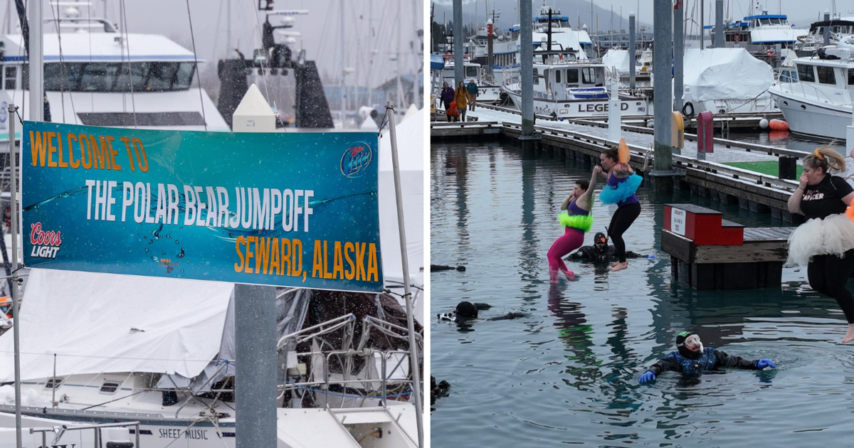 40th Annual Polar Bear Jump in Seward raises funds for cancer fight | Homepage [Video]