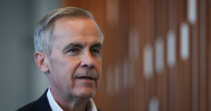 Mark Carney to announce run to become next Liberal leader [Video]