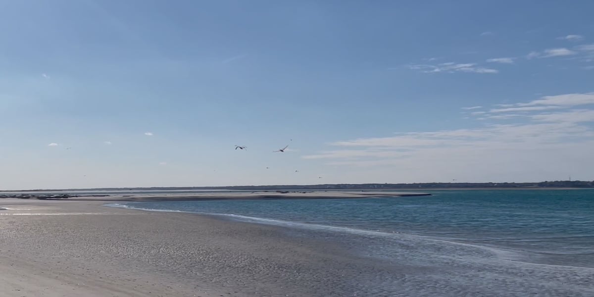 Its a legacy for all of the people of Topsail: The south end of the beach will be under permanent conservation protections [Video]