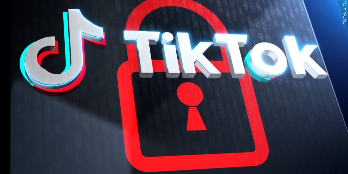 Cybersecurity experts sound the alarm about TikTok alternatives [Video]