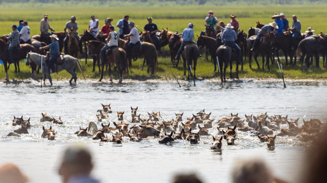 Online threat made against 100th annual Chincoteague Pony Swim [Video]