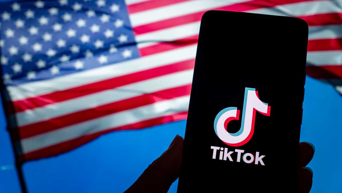 Who could buy TikTok? [Video]