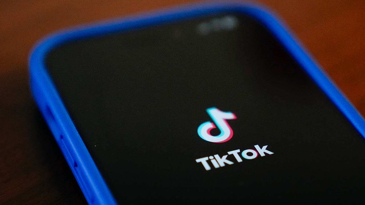 TikTok says it will go dark on Sunday without definitive assurance that the Biden admin wont enforce ban [Video]