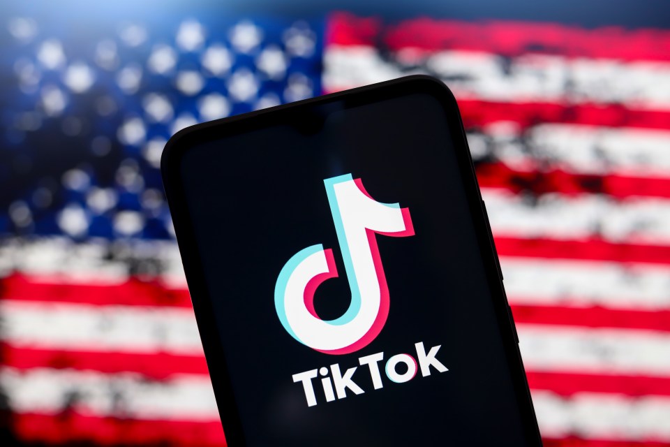 TikTokers in meltdown over impending US ban as they post tearful videos saying goodbye to their beloved app