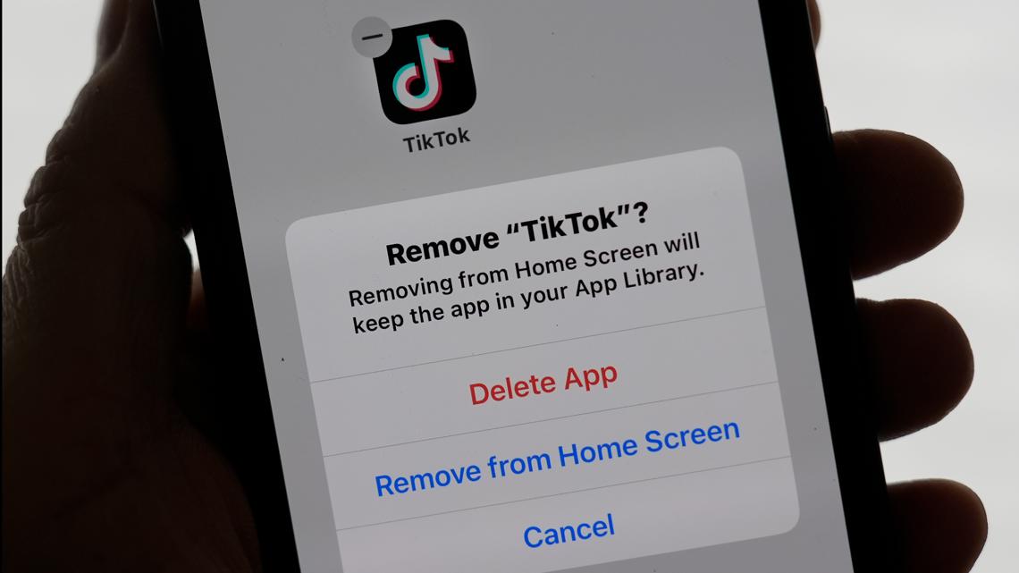 TikTok ban: Trump hints at giving app 90-day extension to avoid ban [Video]