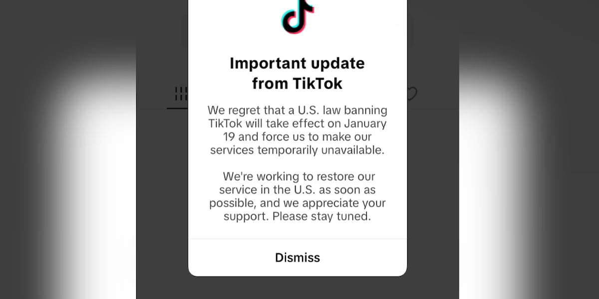 TikTok goes dark for US users as ban takes effect [Video]