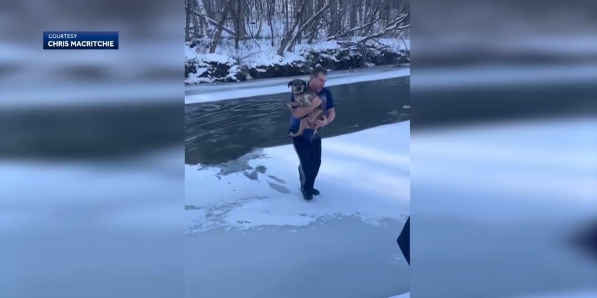 Father jumps into freezing river to save dog struggling to stay afloat [Video]