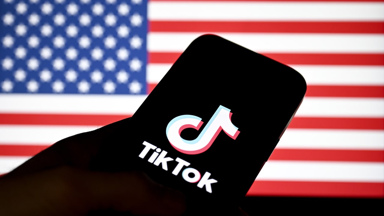 TikTok Users Shared Funny Reactions as U.S. Ban Took Effect [Video]