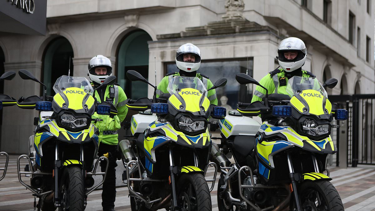 Never mind the Flying Squad, here comes the riding high squad - police send out e-motorbikers to crack down on mobile phone snatchers [Video]